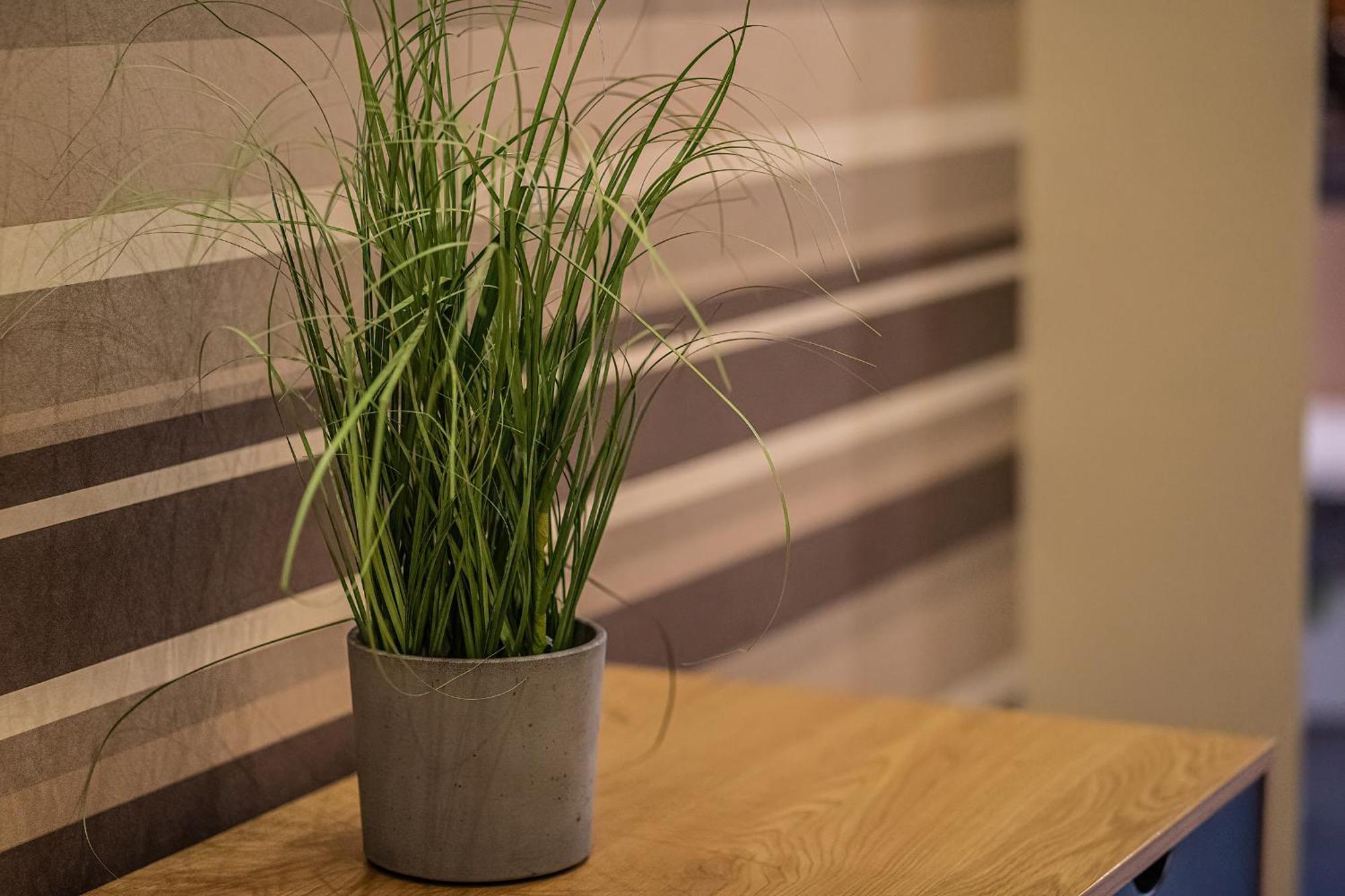 סגד Kelemen Apartment מראה חיצוני תמונה